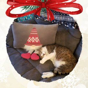 Meet your Posher, Bob